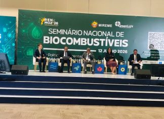 Governo avança com projecto piloto de produção de biocombustíveis