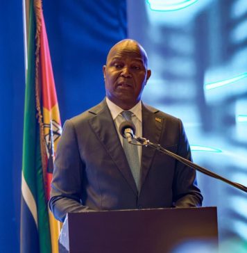 Moçambique assegura empenho em suprir défice energético regional
