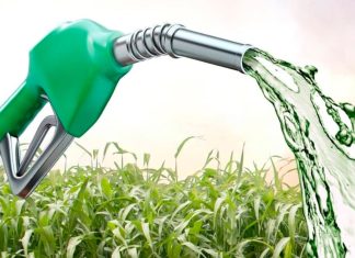 TotalEnergies prepara-se para instalar unidade de biodiesel em Palma